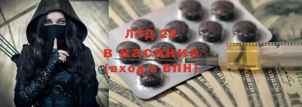 прущие грибы Белокуриха