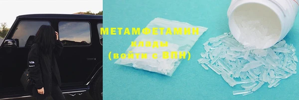 прущие грибы Белокуриха