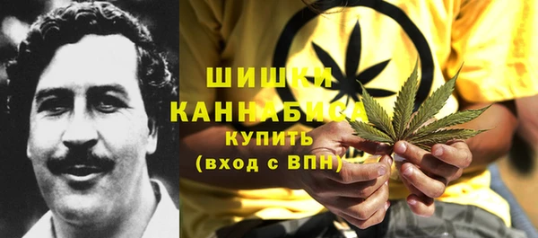 прущие грибы Белокуриха