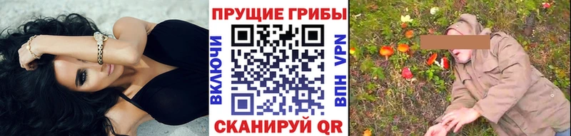 Галлюциногенные грибы Psilocybe  Шацк 